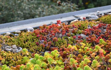 the cost of Horgabost green roof installation
