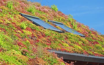 Horgabost living roof systems